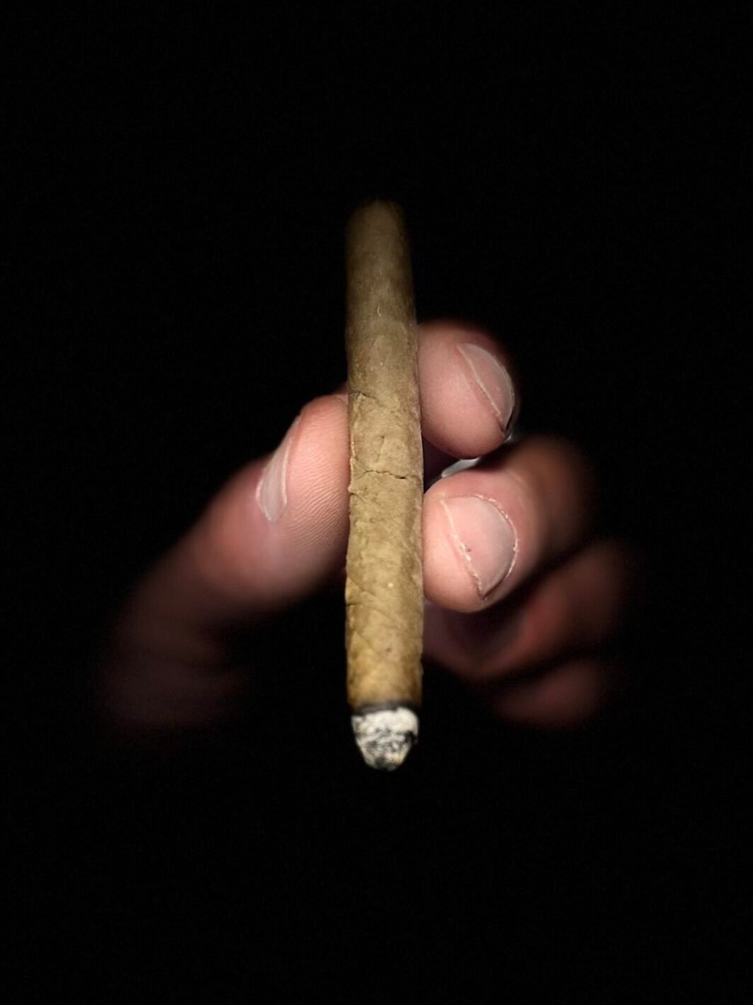 1950’s Tampa Needles Havana cigarillos